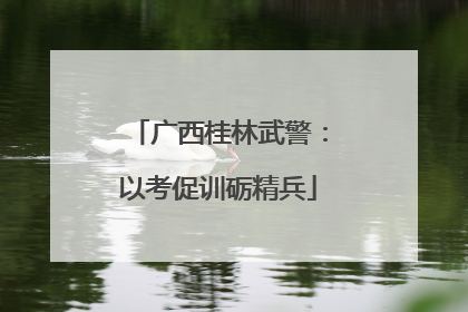 广西桂林武警：以考促训砺精兵
