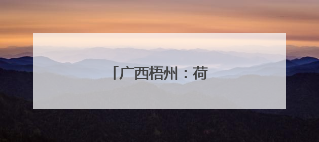 广西梧州：荷花绽放迎盛夏
