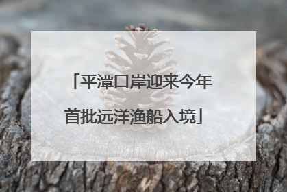 平潭口岸迎来今年首批远洋渔船入境