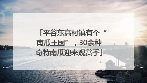 平谷东高村镇有个“南瓜王国”，30余种奇特南瓜迎来观赏季