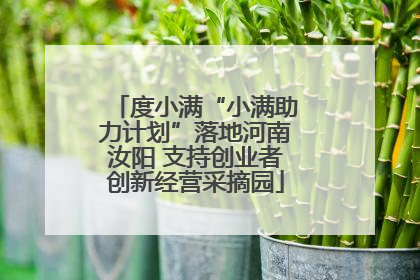 度小满“小满助力计划”落地河南汝阳 支持创业者创新经营采摘园