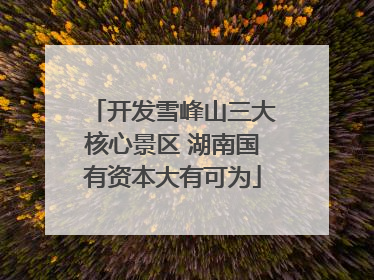开发雪峰山三大核心景区 湖南国有资本大有可为