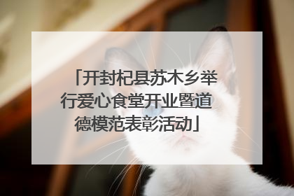 开封杞县苏木乡举行爱心食堂开业暨道德模范表彰活动