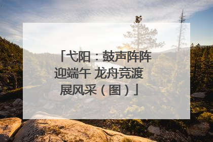 弋阳：鼓声阵阵迎端午 龙舟竞渡展风采（图）