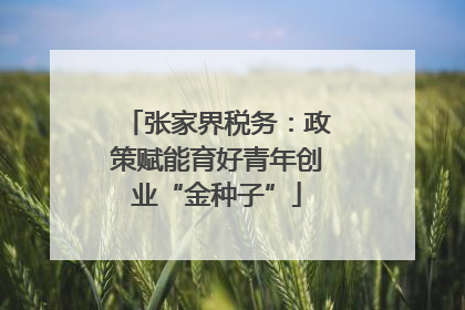 张家界税务：政策赋能育好青年创业“金种子”