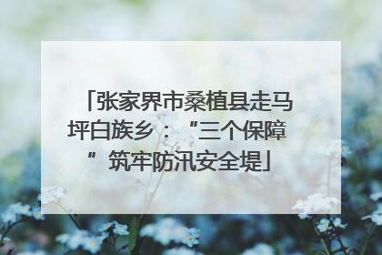 张家界市桑植县走马坪白族乡：“三个保障”筑牢防汛安全堤