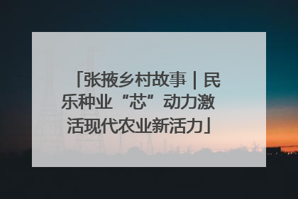 张掖乡村故事｜民乐种业“芯”动力激活现代农业新活力