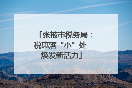 张掖市税务局：税惠落“小”处 焕发新活力