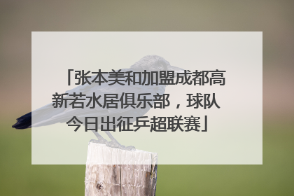 张本美和加盟成都高新若水居俱乐部，球队今日出征乒超联赛