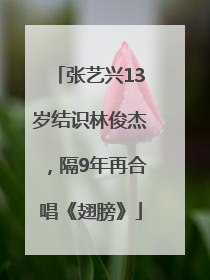 张艺兴13岁结识林俊杰，隔9年再合唱《翅膀》