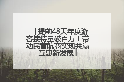 提前48天年度游客接待量破百万！带动民营航商实现共赢互惠新发展