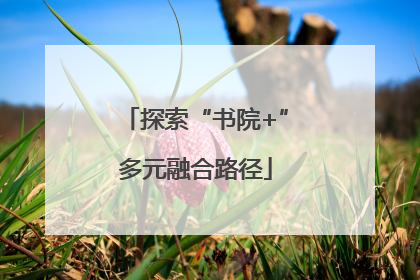 探索“书院+”多元融合路径