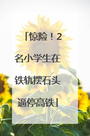 惊险！2名小学生在铁轨摆石头逼停高铁