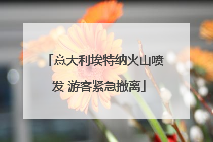 意大利埃特纳火山喷发 游客紧急撤离