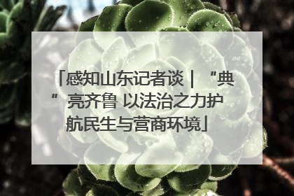 感知山东记者谈｜“典”亮齐鲁 以法治之力护航民生与营商环境