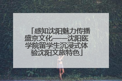 感知沈阳魅力传播盛京文化——沈阳医学院留学生沉浸式体验沈阳文旅特色