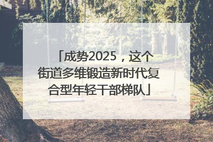 成势2025，这个街道多维锻造新时代复合型年轻干部梯队