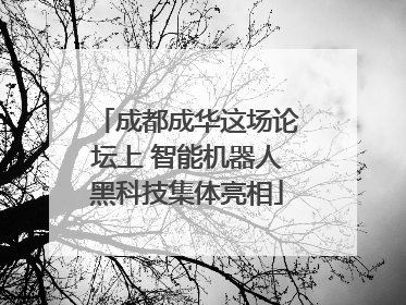成都成华这场论坛上 智能机器人黑科技集体亮相
