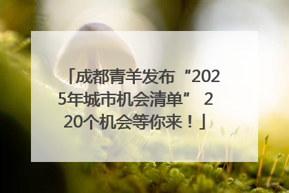 成都青羊发布“2025年城市机会清单” 220个机会等你来！