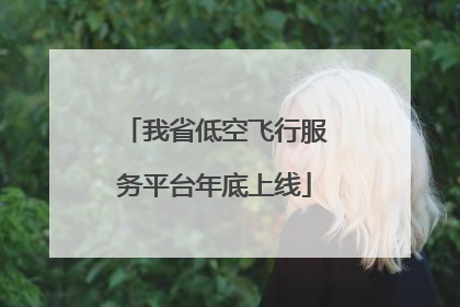 我省低空飞行服务平台年底上线