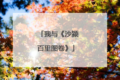 我与《沙颍百里图卷》