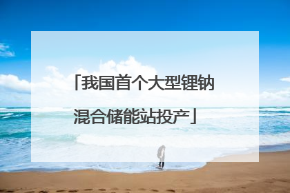 我国首个大型锂钠混合储能站投产