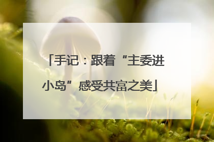 手记：跟着“主委进小岛”感受共富之美