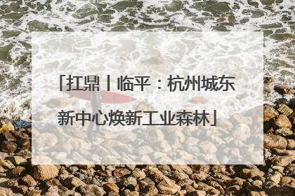 扛鼎丨临平：杭州城东新中心焕新工业森林