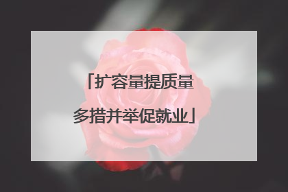 扩容量提质量 多措并举促就业