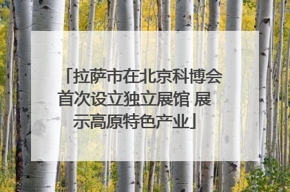 拉萨市在北京科博会首次设立独立展馆 展示高原特色产业