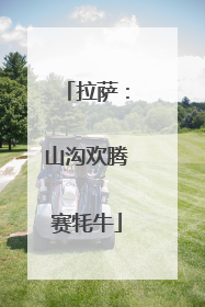 拉萨：山沟欢腾赛牦牛