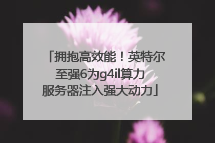 拥抱高效能！英特尔至强6为g4il算力服务器注入强大动力