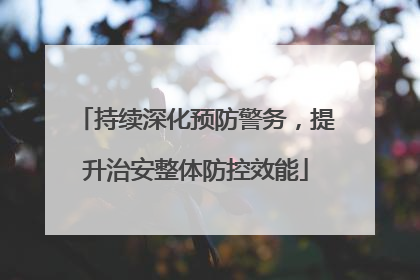 持续深化预防警务，提升治安整体防控效能