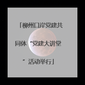 柳州口岸党建共同体“党建大讲堂”活动举行