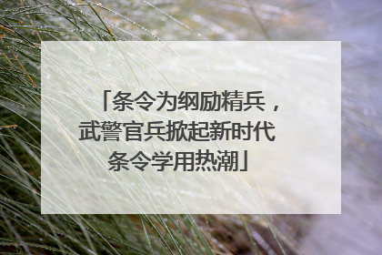 条令为纲励精兵，武警官兵掀起新时代条令学用热潮