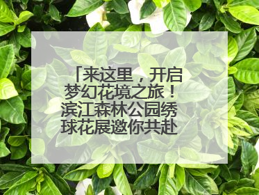 来这里，开启梦幻花境之旅！滨江森林公园绣球花展邀你共赴一场与云朵、花儿的浪漫之约