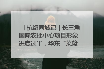 杭绍同城记｜长三角国际农批中心项目形象进度过半，华东“菜篮子”建设加码提速！