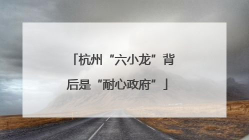 杭州“六小龙”背后是“耐心政府”