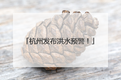 杭州发布洪水预警！