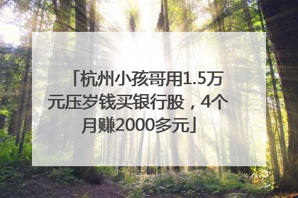 杭州小孩哥用1.5万元压岁钱买银行股，4个月赚2000多元