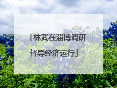 林武在淄博调研督导经济运行