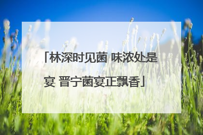 林深时见菌 味浓处是宴 晋宁菌宴正飘香