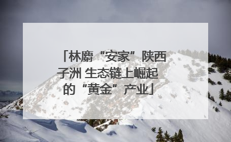 林麝“安家”陕西子洲 生态链上崛起的“黄金”产业