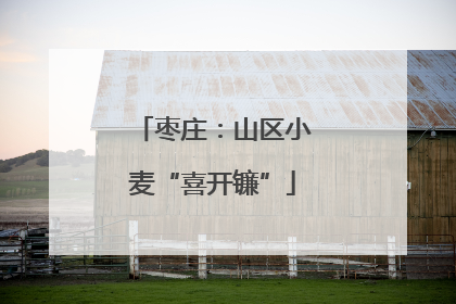 枣庄：山区小麦“喜开镰”