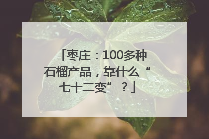 枣庄：100多种石榴产品，靠什么“七十二变”？