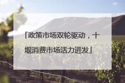 政策市场双轮驱动，十堰消费市场活力迸发