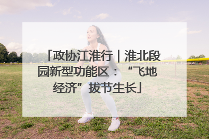 政协江淮行｜淮北段园新型功能区：“飞地经济”拔节生长