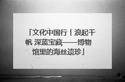 文化中国行丨浪起千帆 深蓝宝藏——博物馆里的海丝遗珍