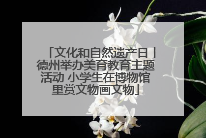 文化和自然遗产日丨德州举办美育教育主题活动 小学生在博物馆里赏文物画文物