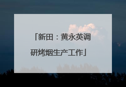 新田：黄永英调研烤烟生产工作